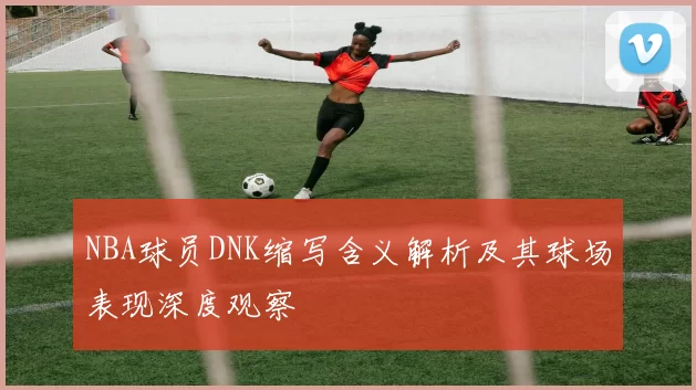NBA球员DNK缩写含义解析及其球场表现深度观察