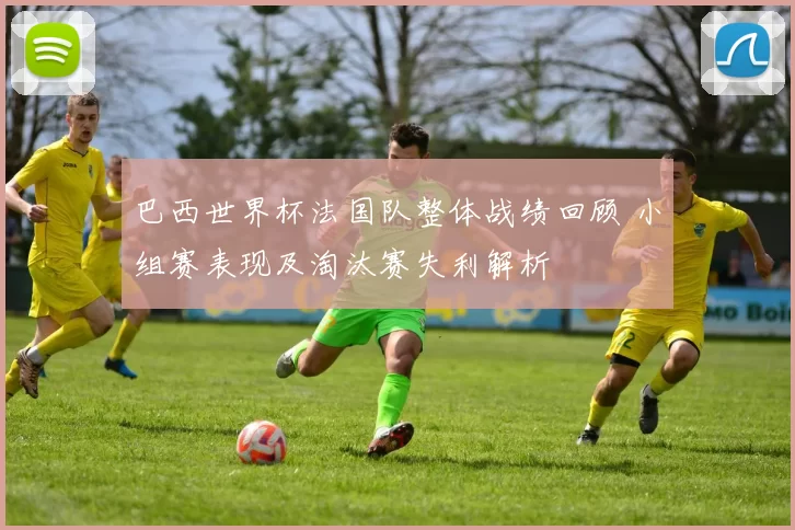 巴西世界杯法国队整体战绩回顾 小组赛表现及淘汰赛失利解析
